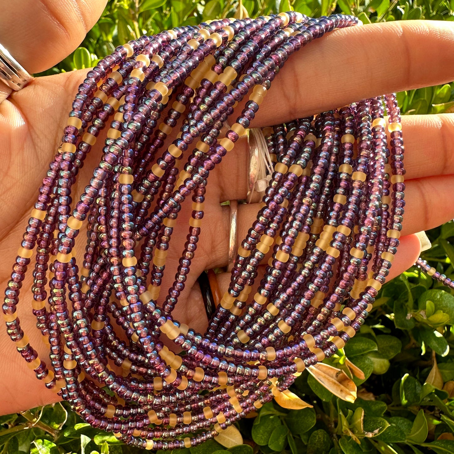 Pegasus Waistbead