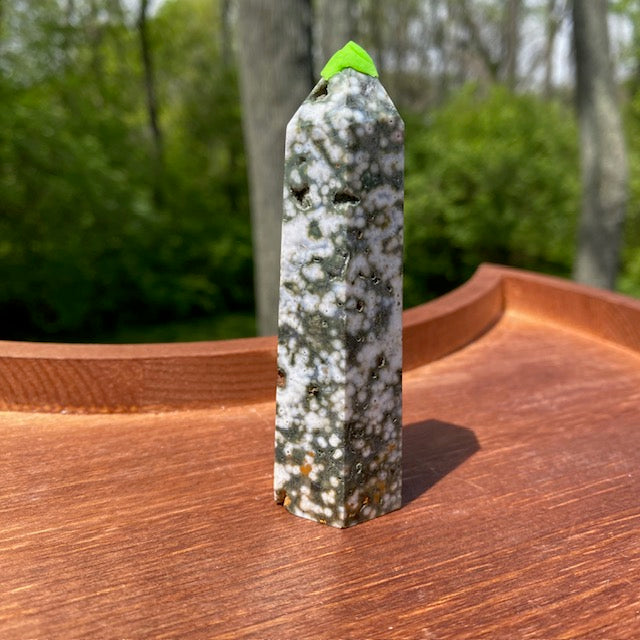 Ocean Jasper Points