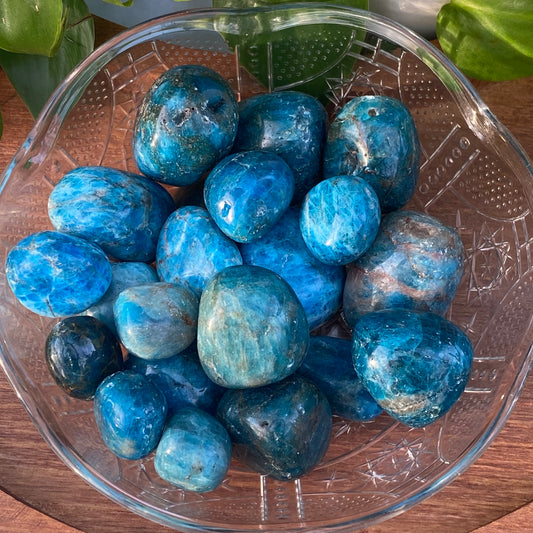 Apatite Tumbles