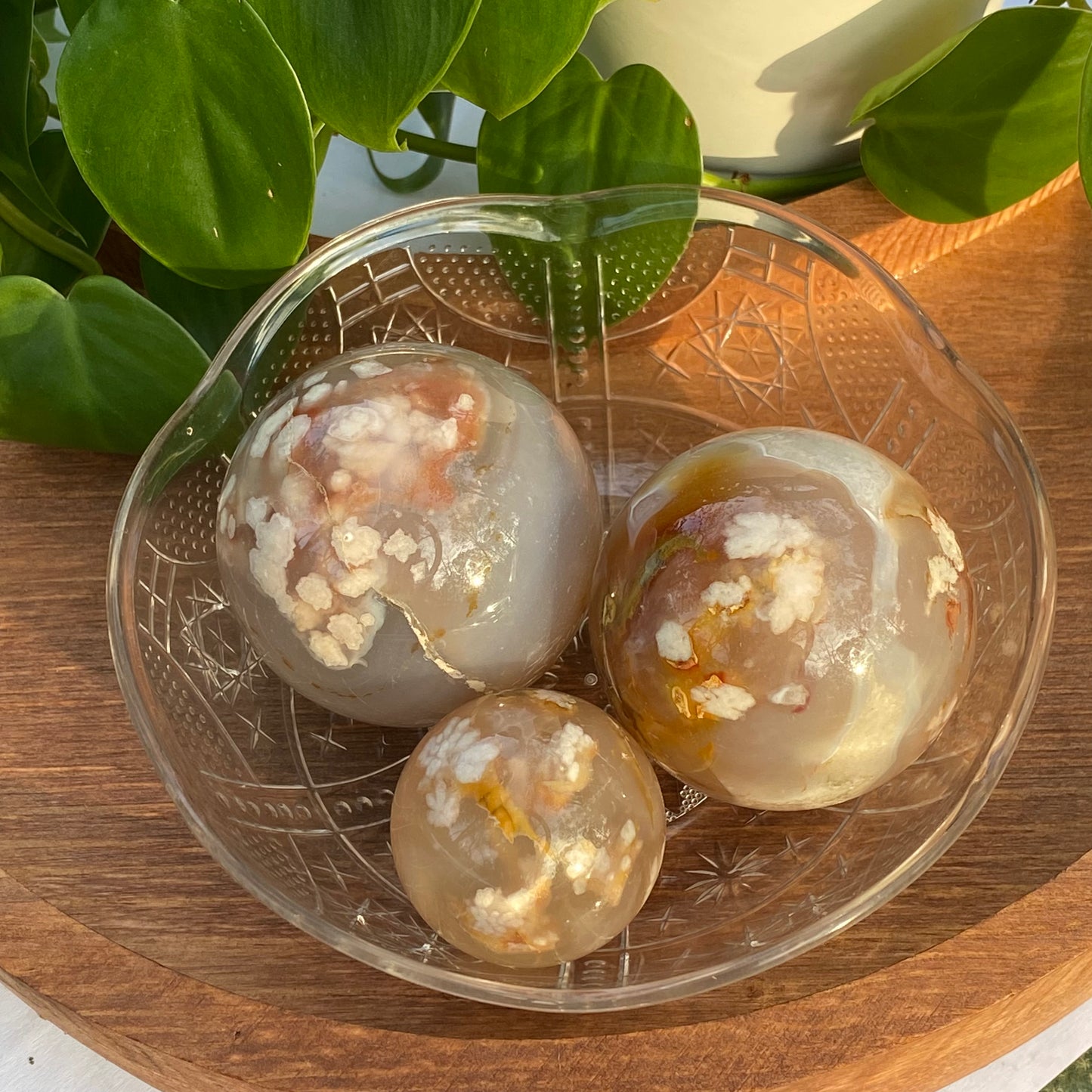 Flower Agate Spheres