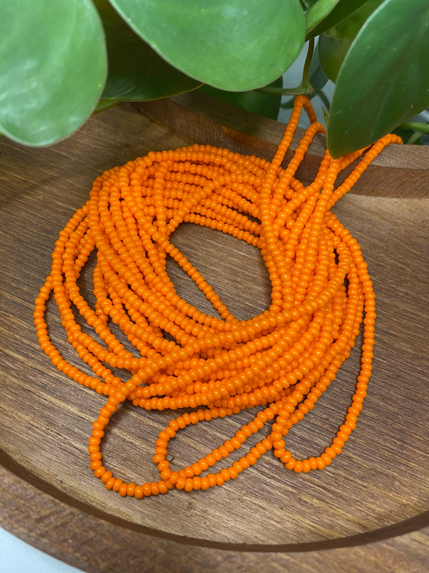 Orange Solid