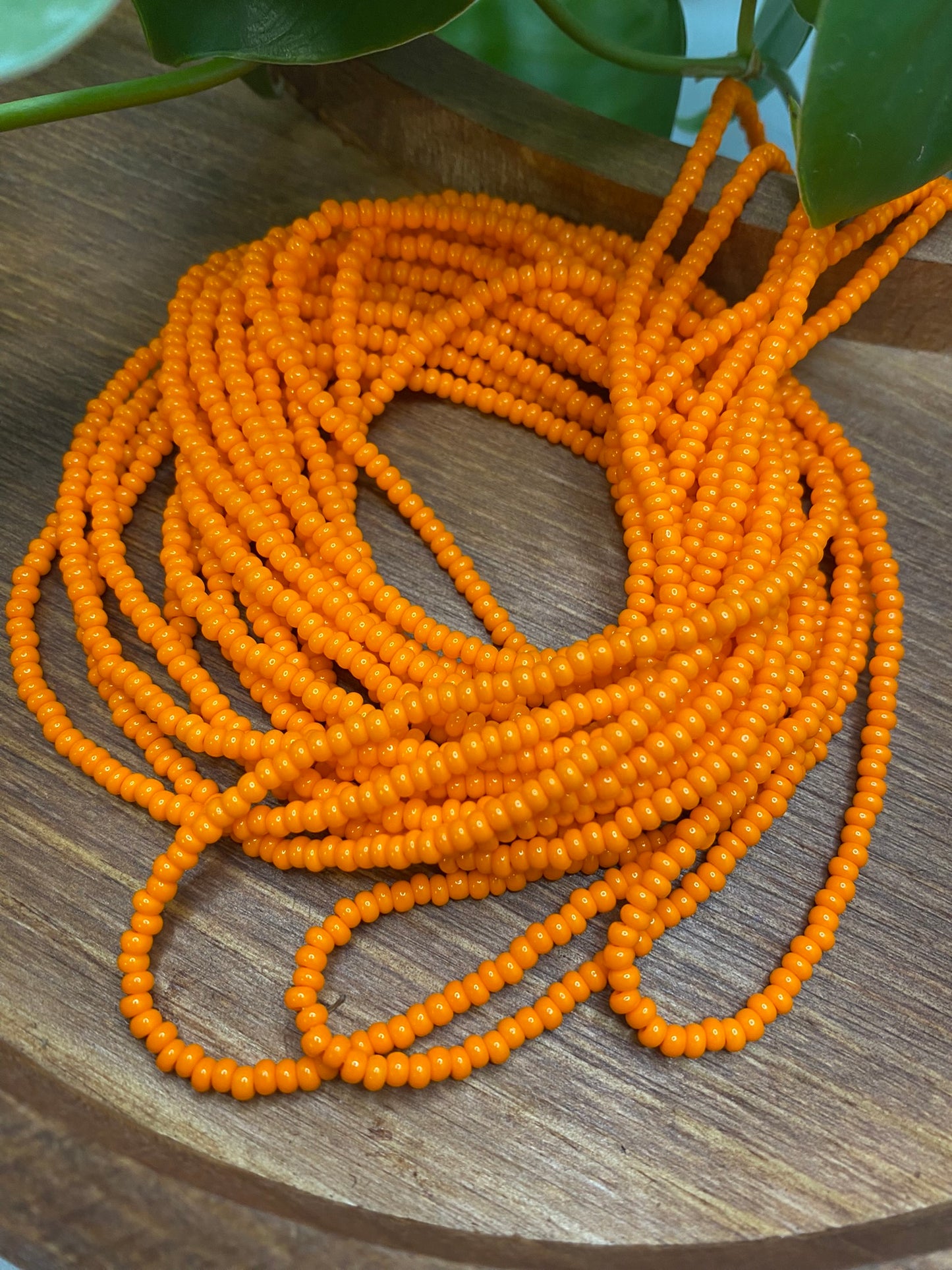 Orange Solid