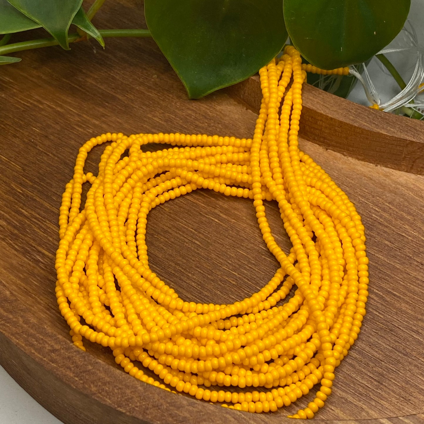 Dark Yellow Solid