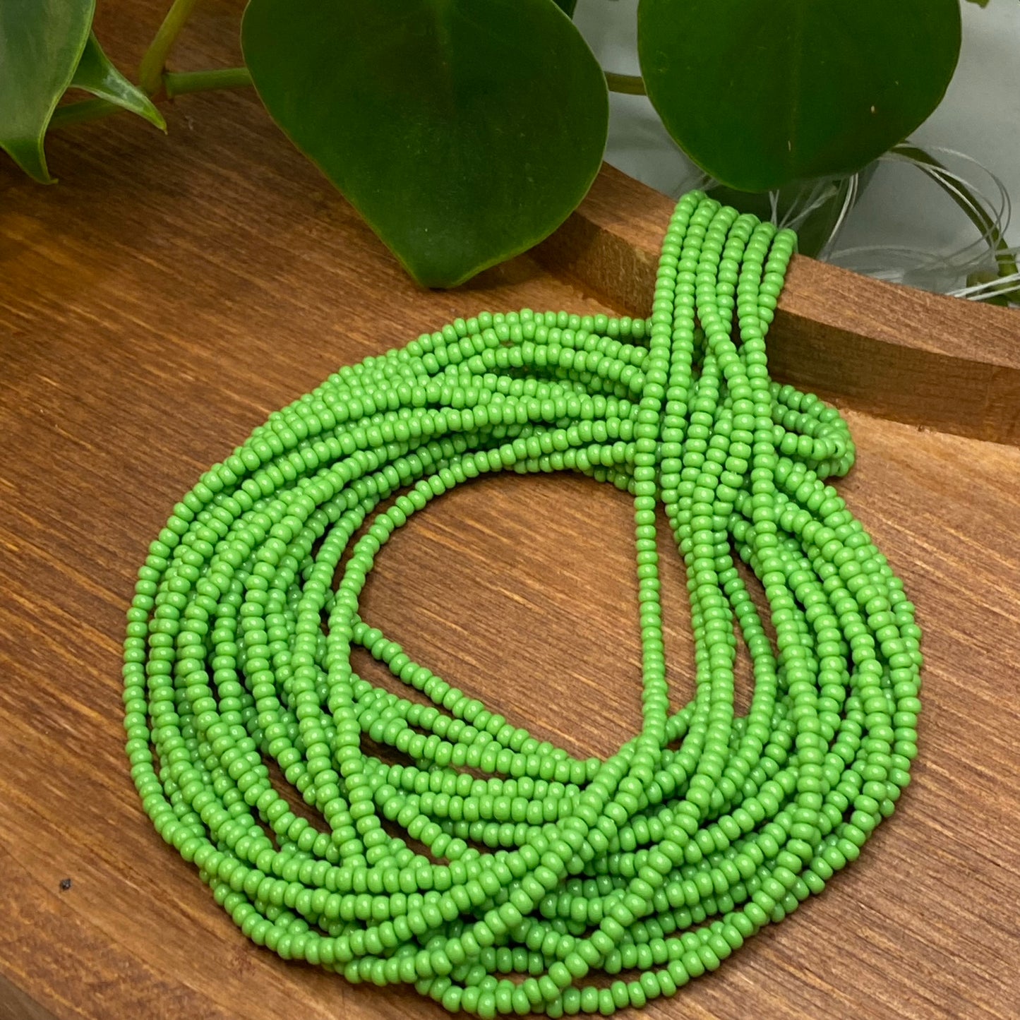 Light Green Solid
