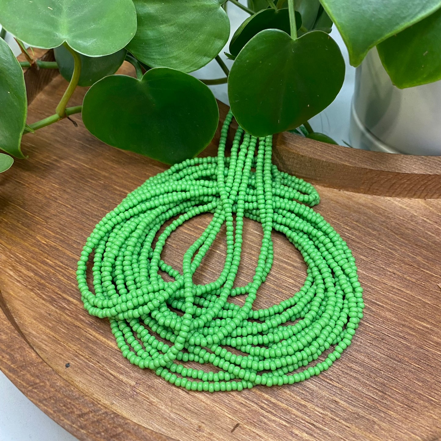 Light Green Solid