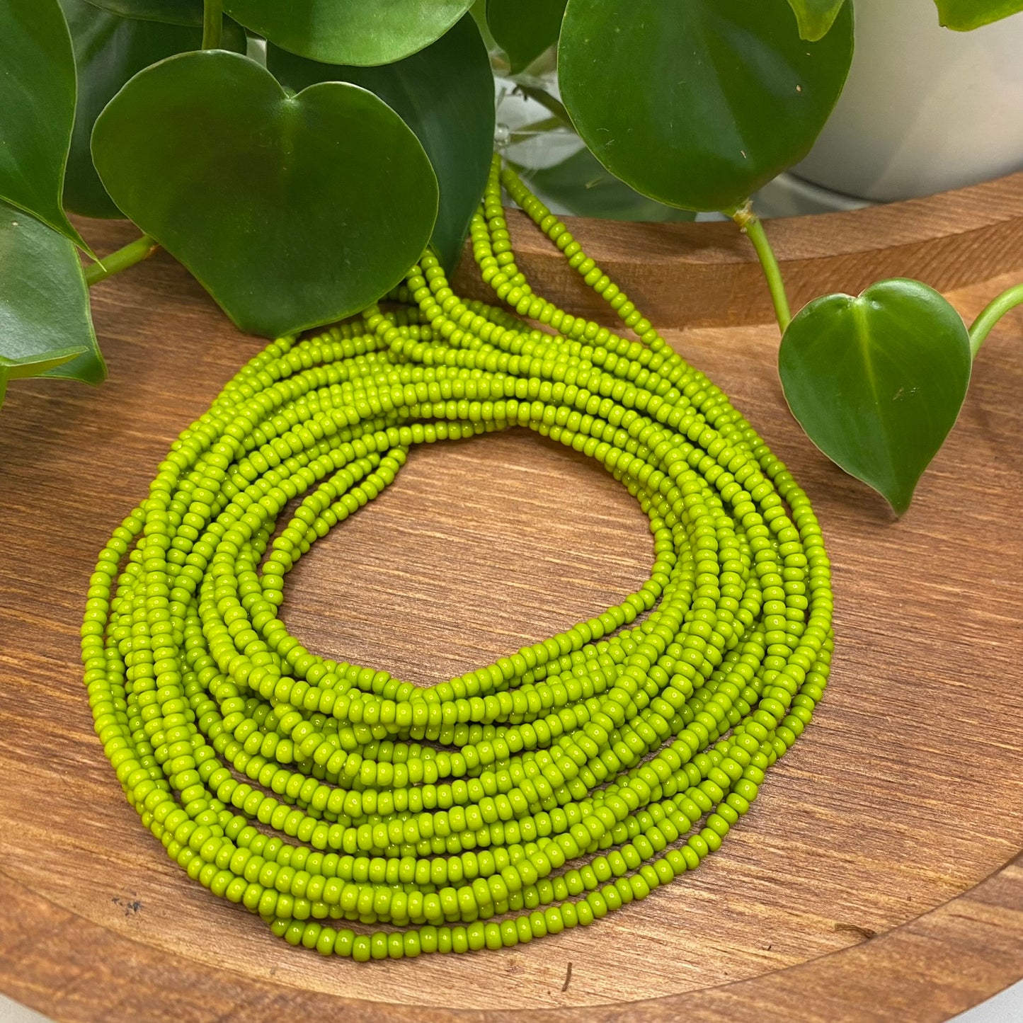 Wasabi Green Solid