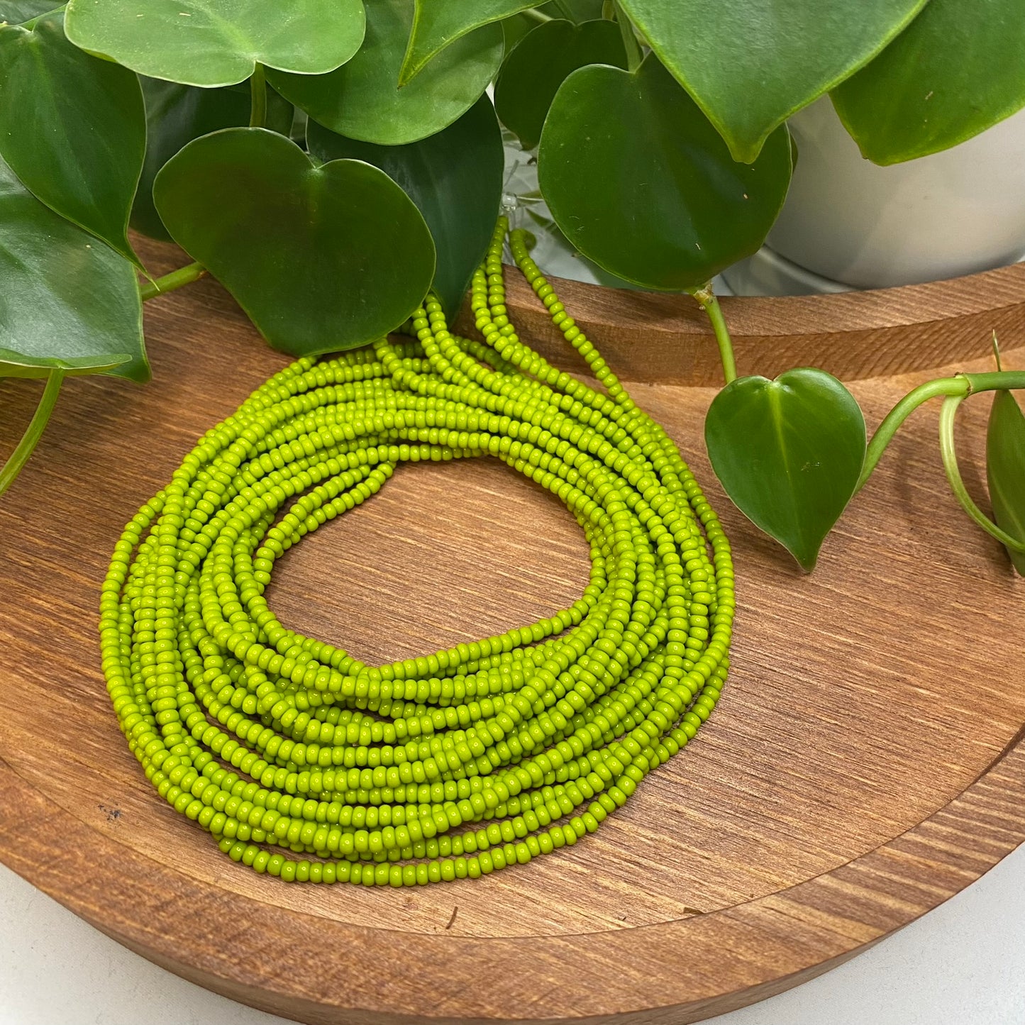 Wasabi Green Solid