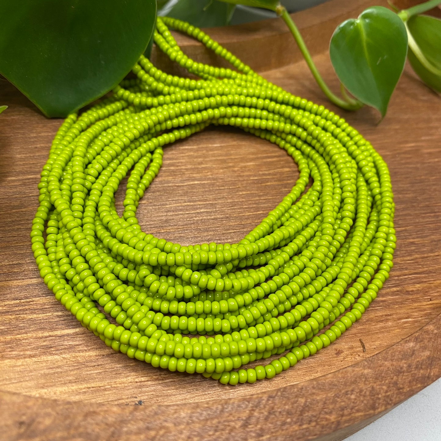 Wasabi Green Solid