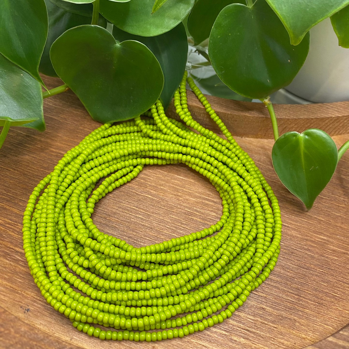 Wasabi Green Solid