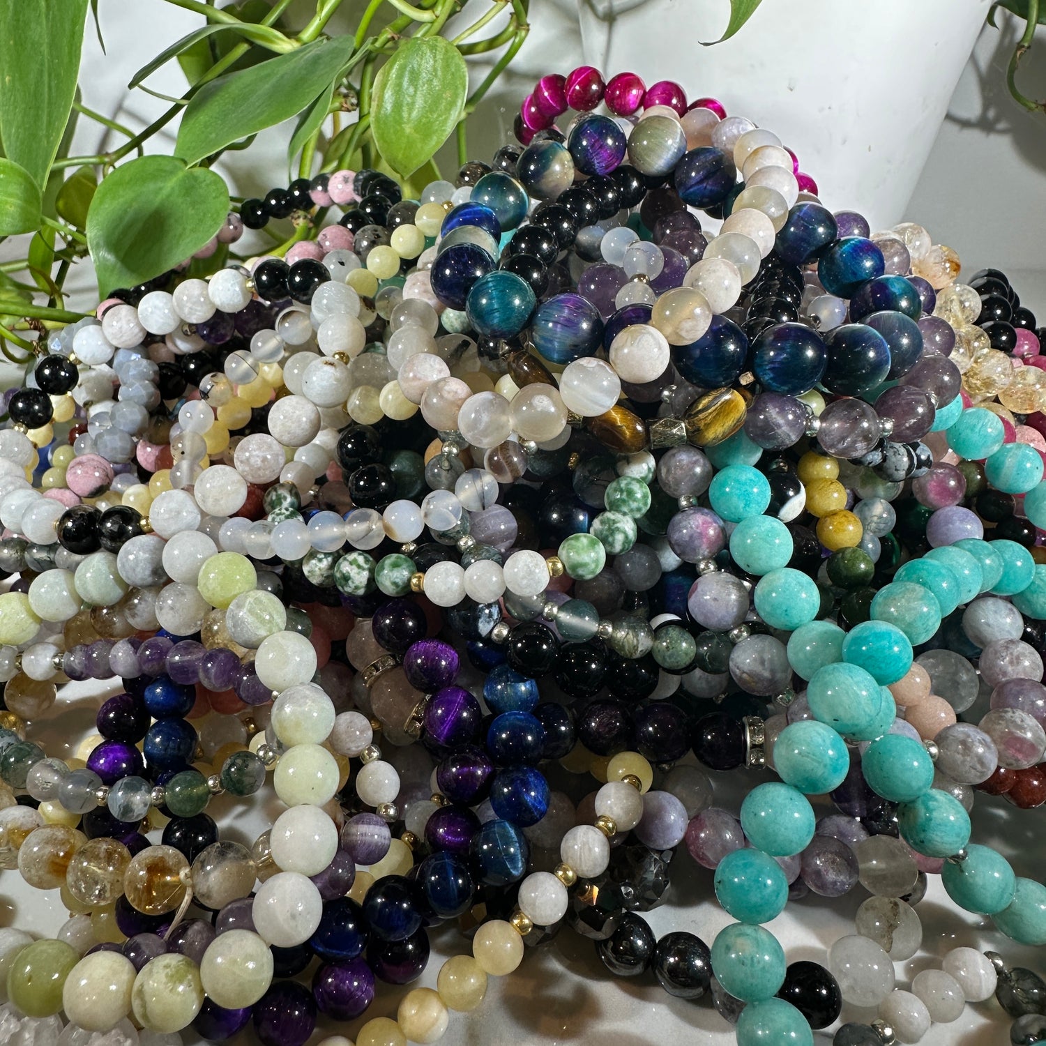$10 & Under
