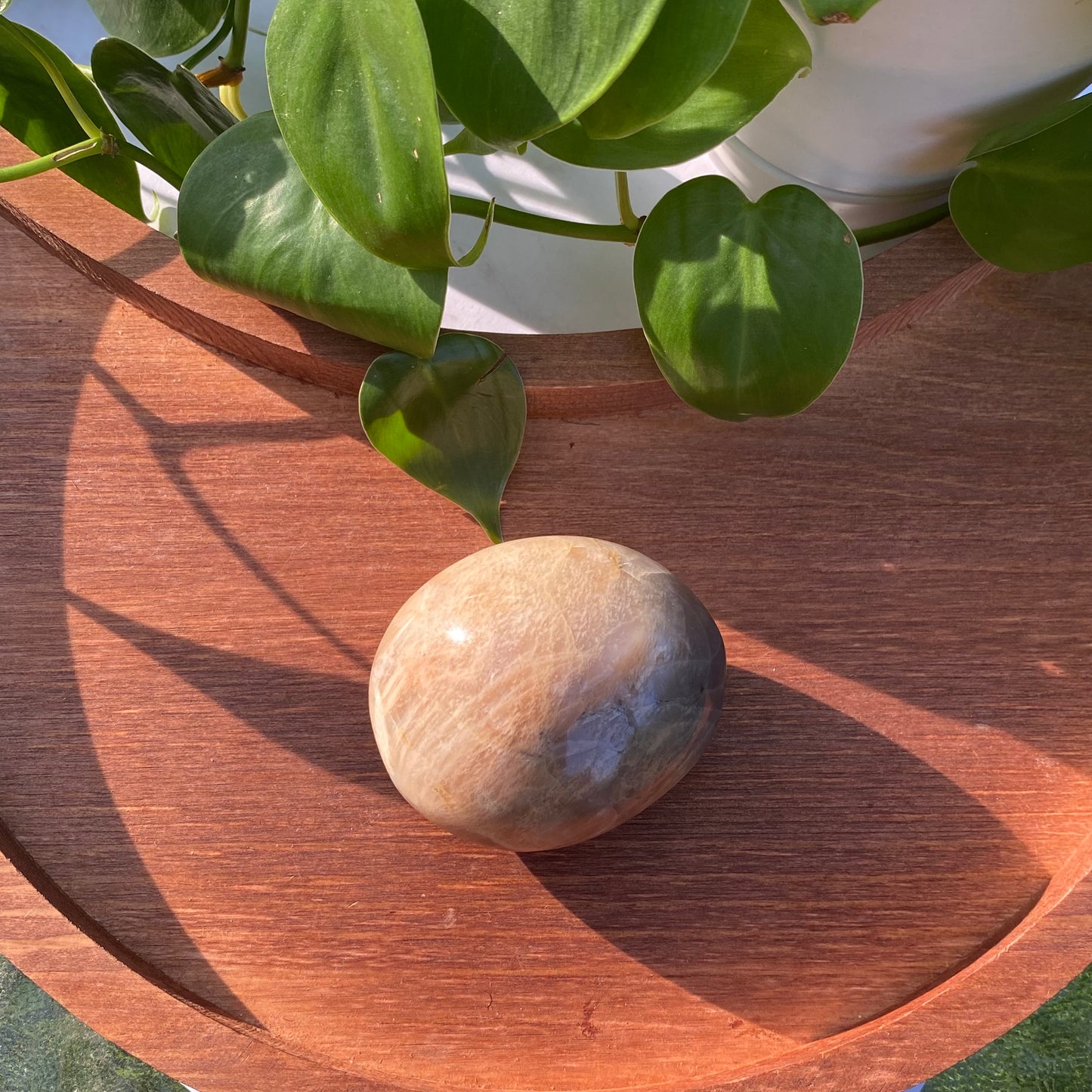 Peach Moonstone Palms