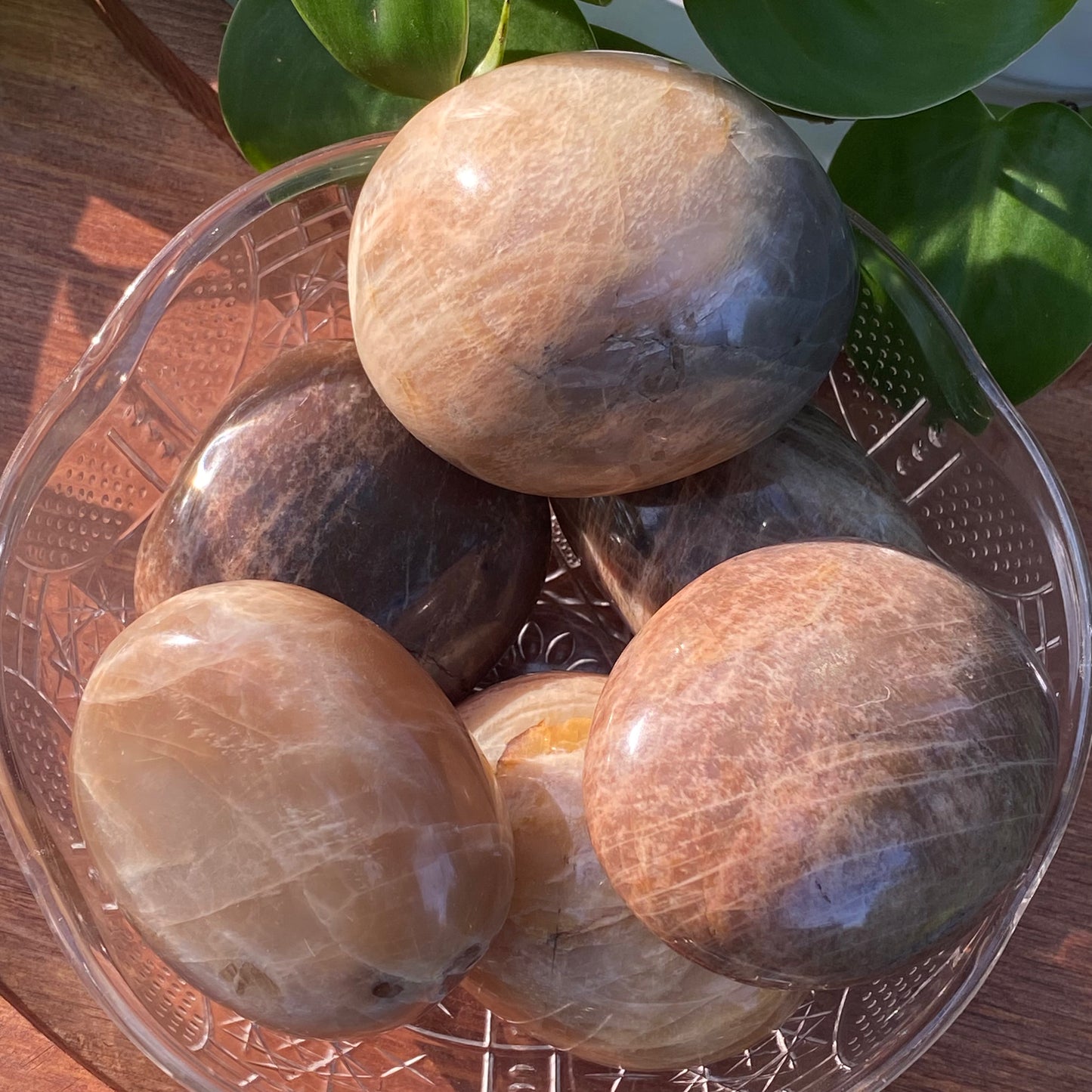 Peach Moonstone Palms
