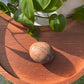 Peach Moonstone Palms