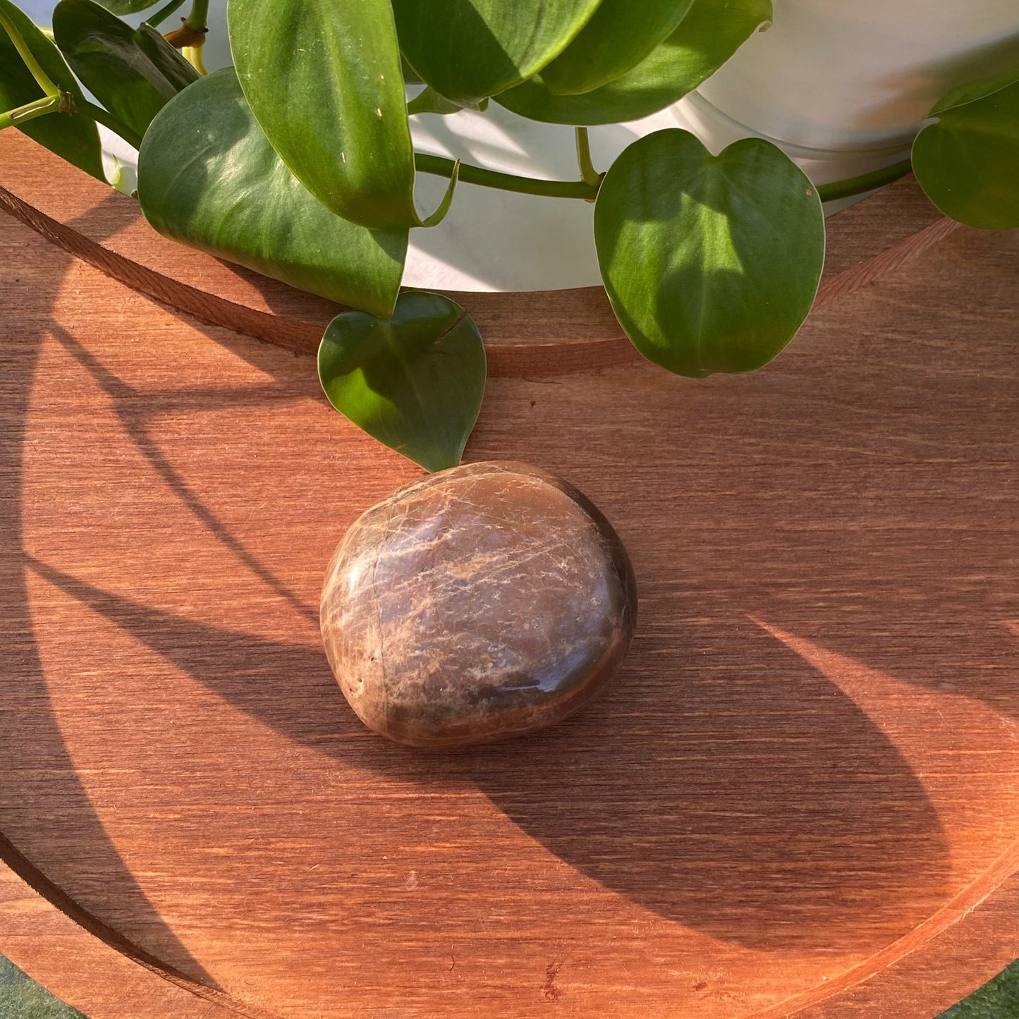 Peach Moonstone Palms