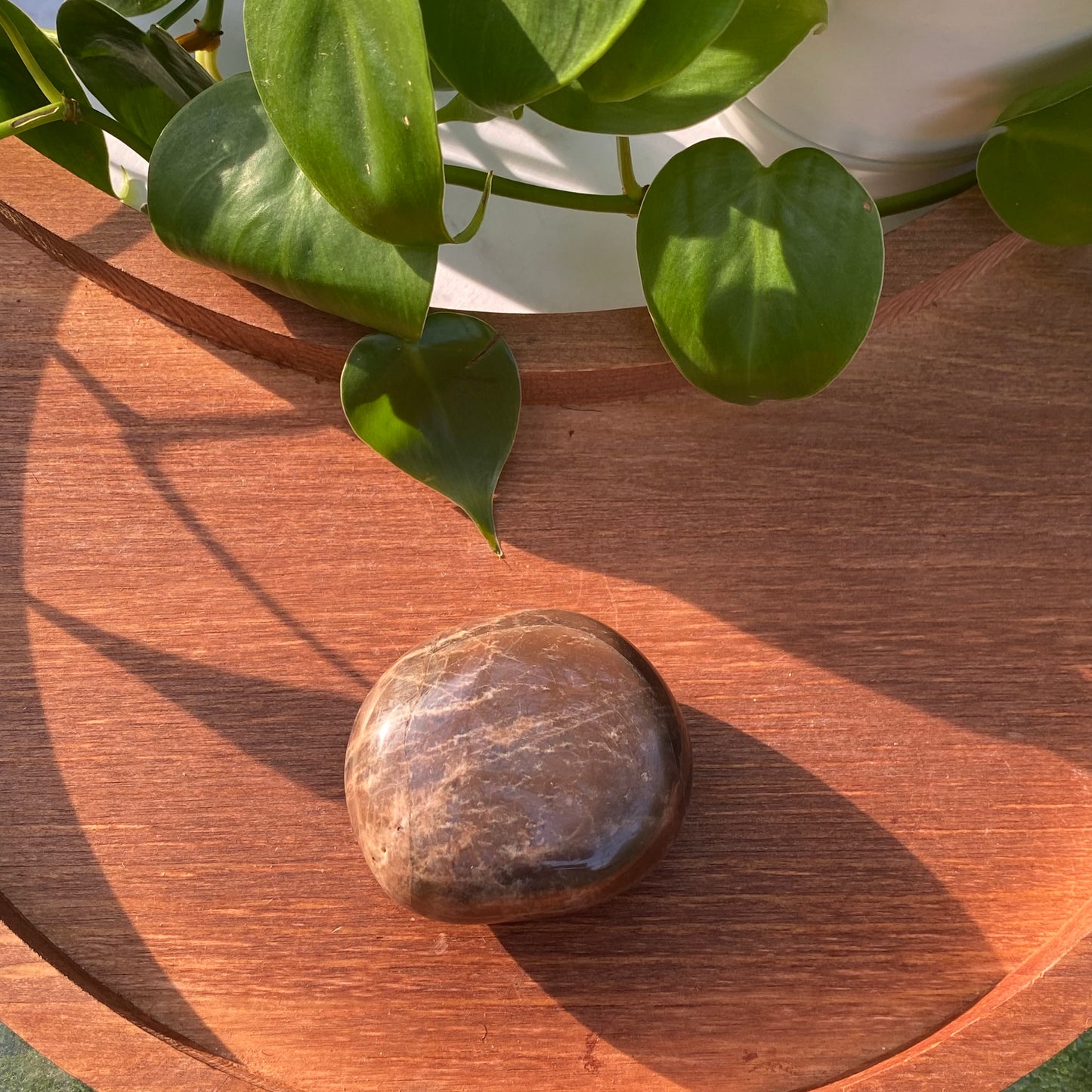 Peach Moonstone Palms