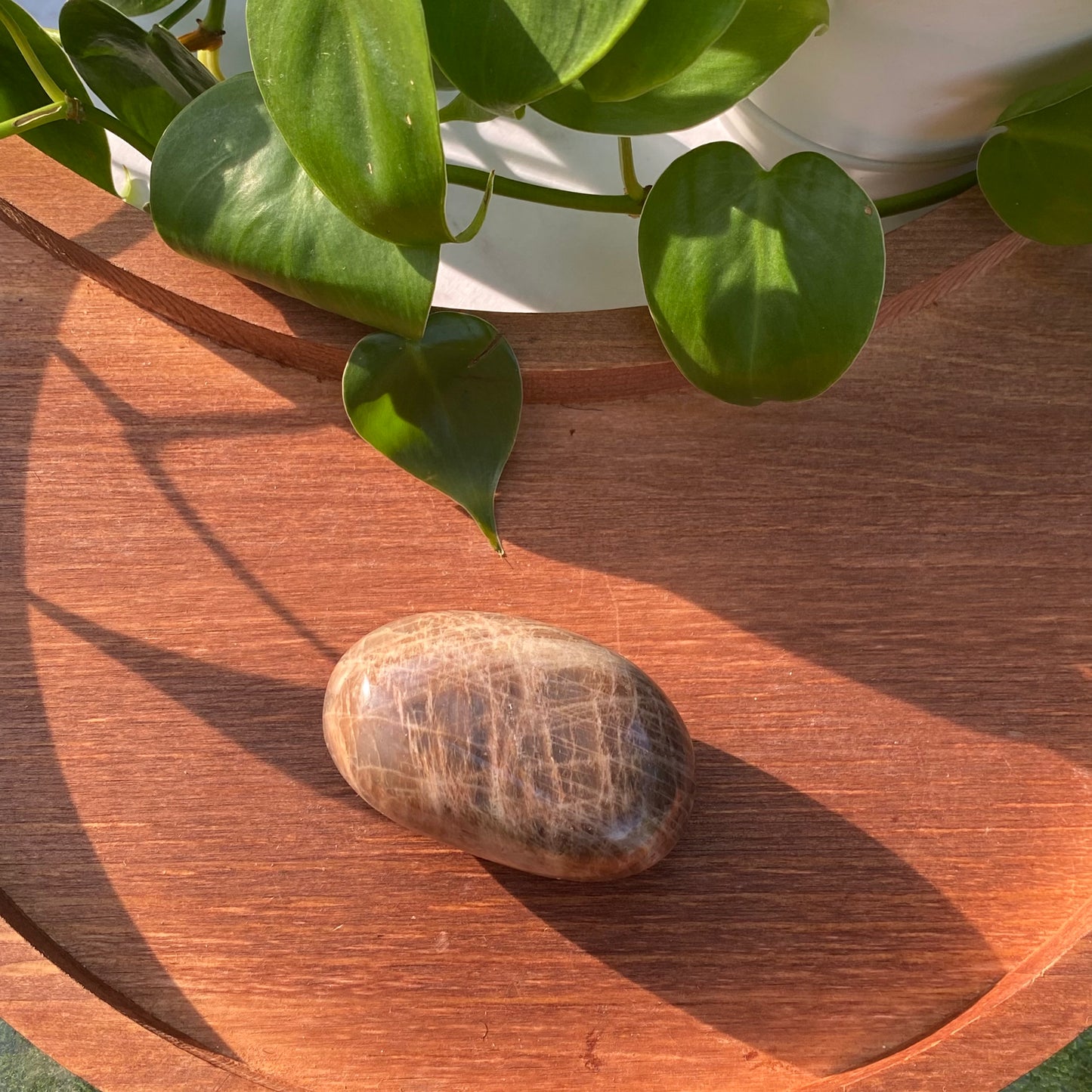 Peach Moonstone Palms