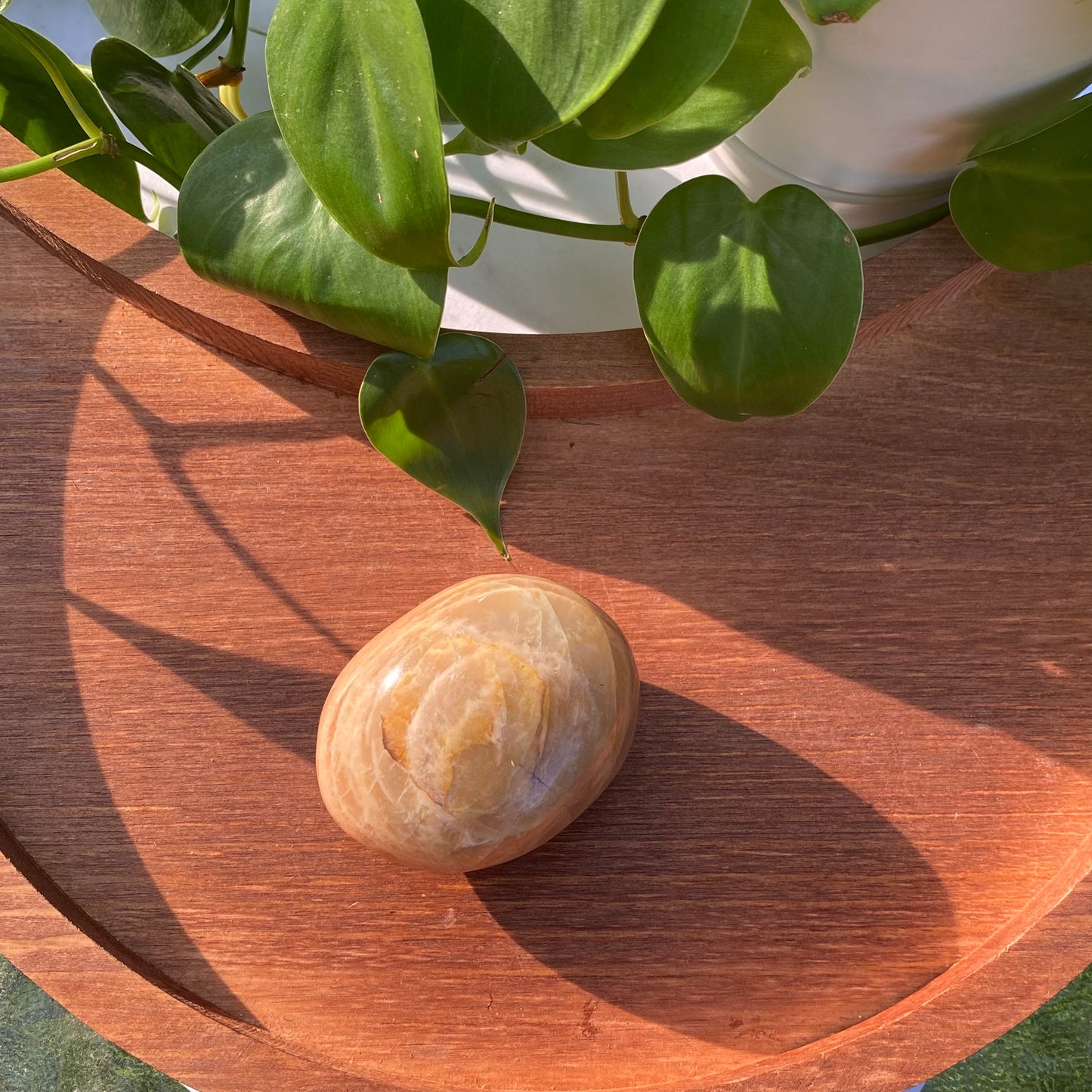 Peach Moonstone Palms