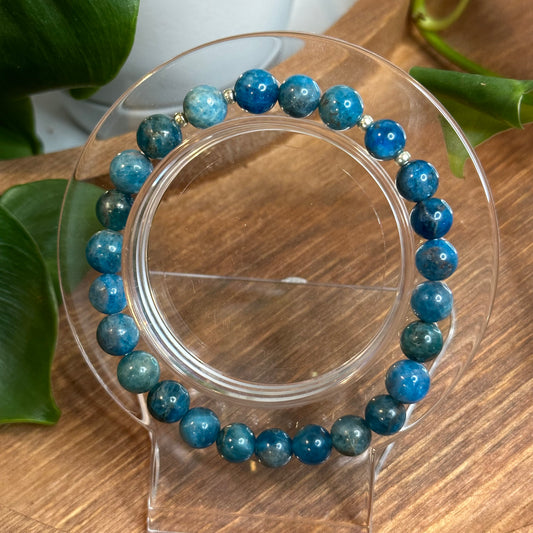 Apatite Bracelet (M)