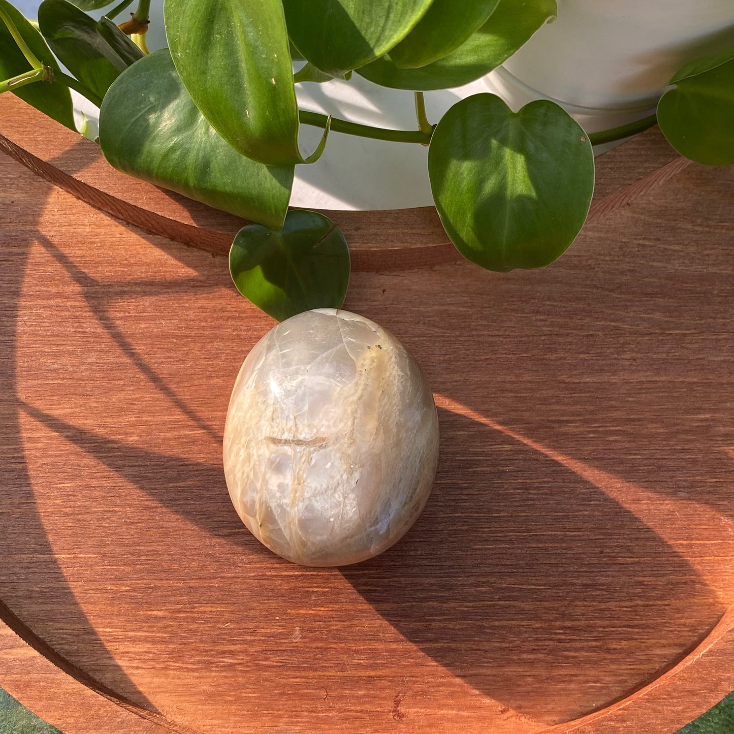 Peach Moonstone Palms