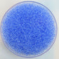 Translucent Lt Cornflower Blue Miyuki 8/0