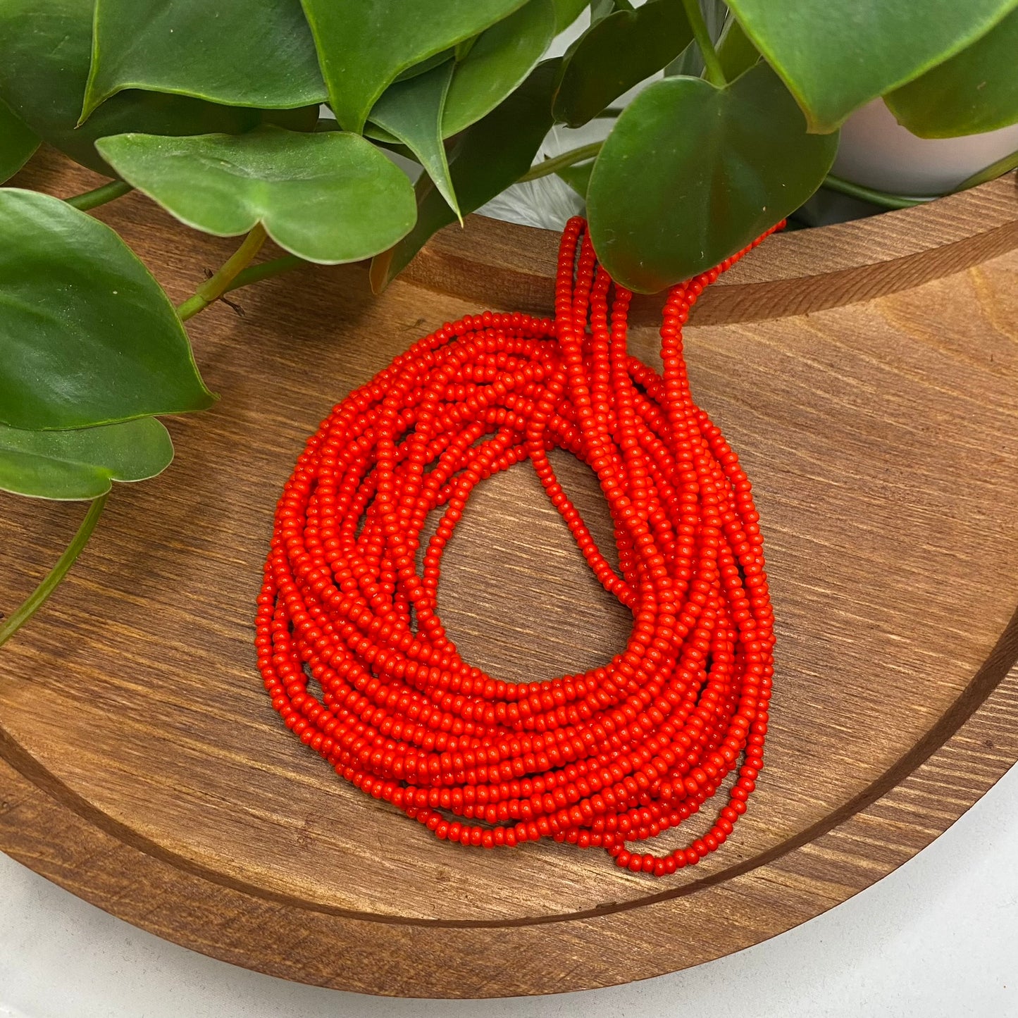 Light Red Solid