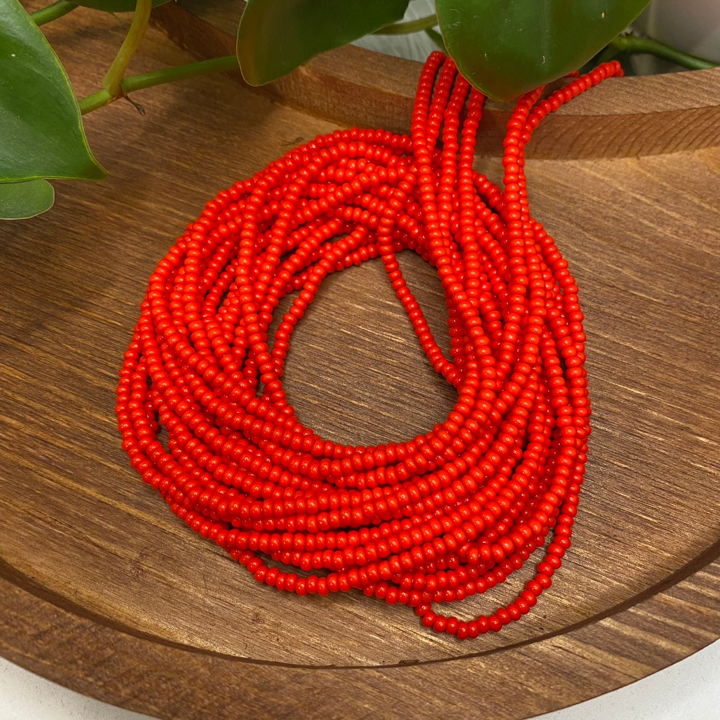 Light Red Solid