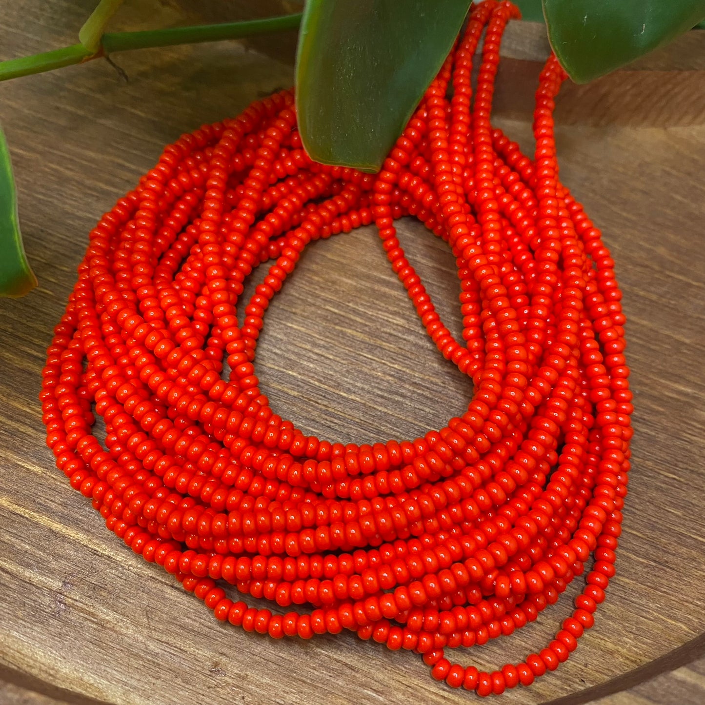Light Red Solid