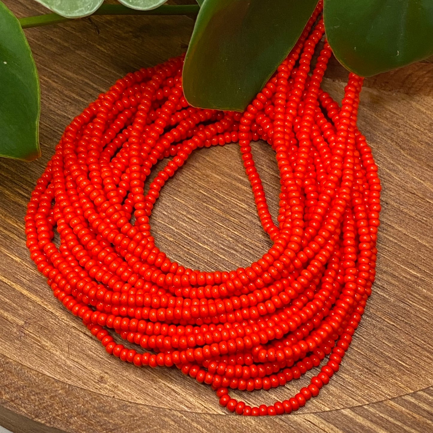 Light Red Solid